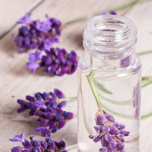 Lavender Hydrosol Organic - Here and There Makers