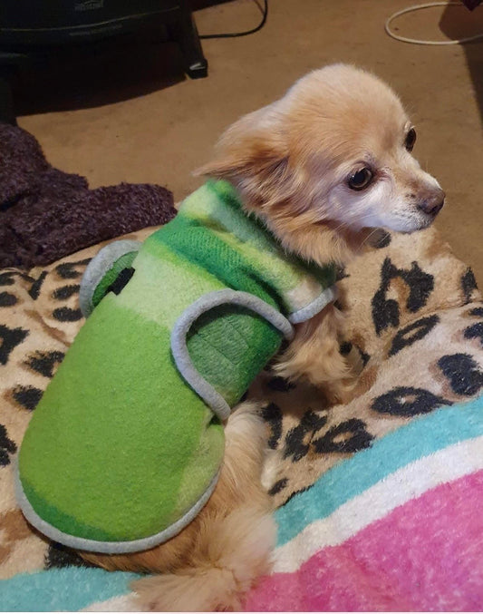 Dog Coats
