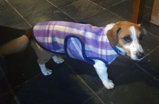 Dog Coats