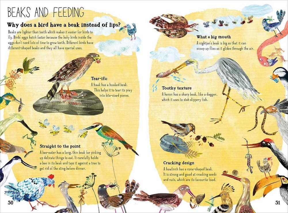The Big Book of Birds - 15% off Sale - Here and There Makers