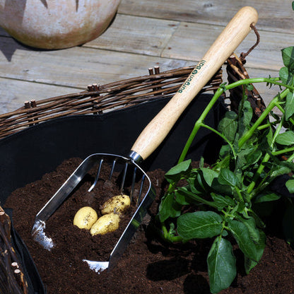 Mid Handled Potato Harvesting Scoop