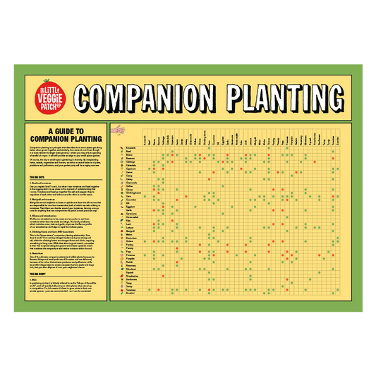 Companion Planting Help Chart