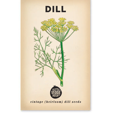 Dill ”Common” Heirloom Seeds