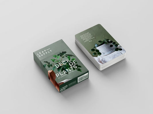 The Leaf Supply Deck of Plants