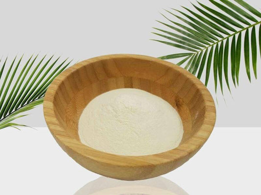 Xanthan Gum 100g Bag - Here and There Makers
